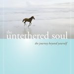 کتاب The Untethered Soul (روح رهاشده) نسخه انگلیسی PDF | مایکل سینگر